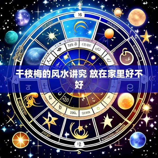 干枝梅的风水讲究 放在家里好不好