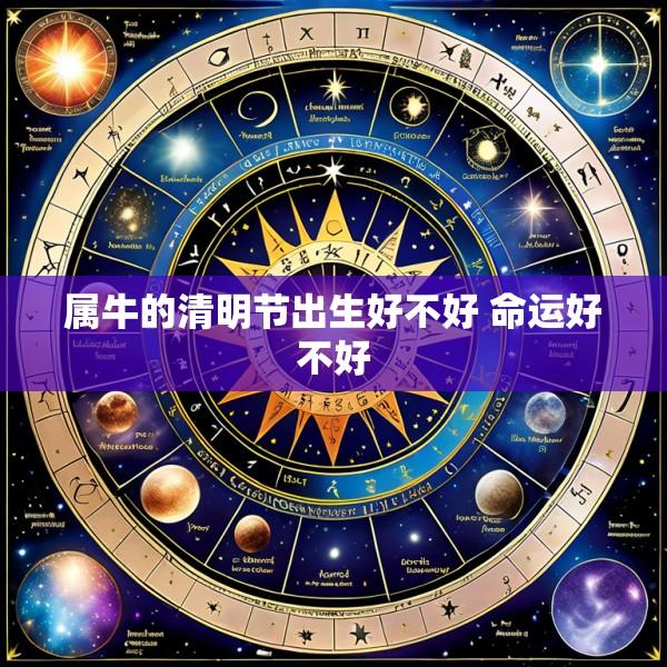属牛的清明节出生好不好 命运好不好