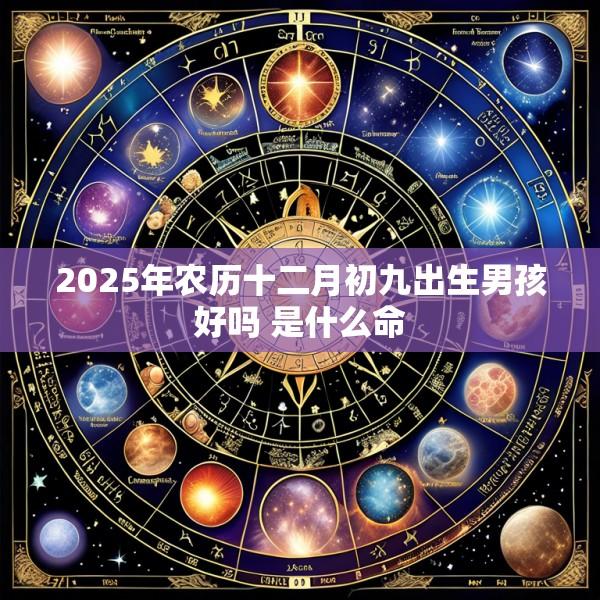 2025年农历十二月初九出生男孩好吗 是什么命