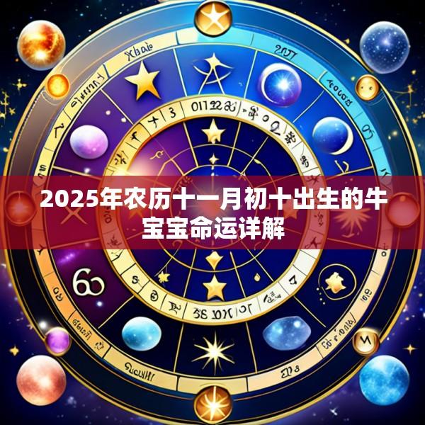 2025年农历十一月初十出生的牛宝宝命运详解