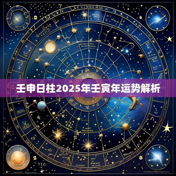 壬申日柱2025年壬寅年运势解析