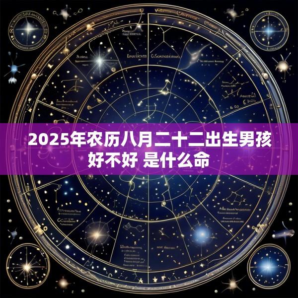 2025年农历八月二十二出生男孩好不好 是什么命