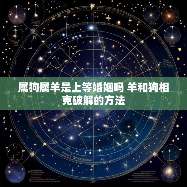 属狗属羊是上等婚姻吗 羊和狗相克破解的方法