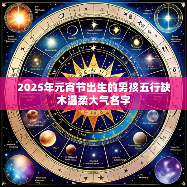 2025年元宵节出生的男孩五行缺木温柔大气名字