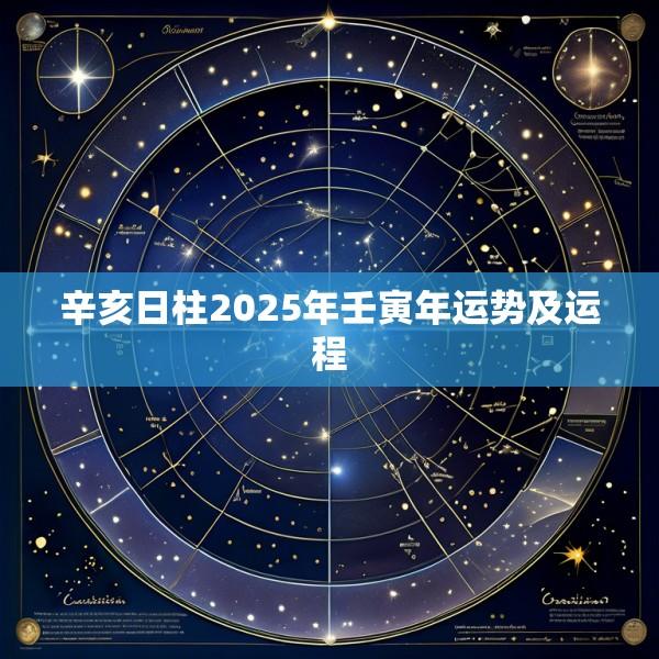 辛亥日柱2025年壬寅年运势及运程