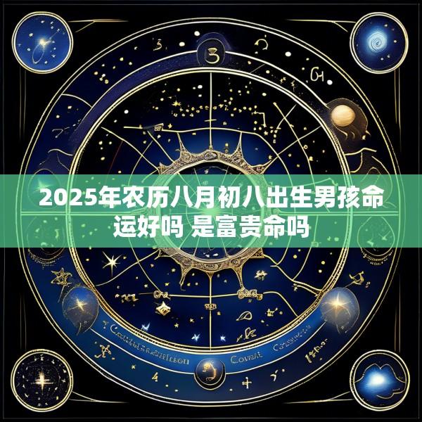 2025年农历八月初八出生男孩命运好吗 是富贵命吗