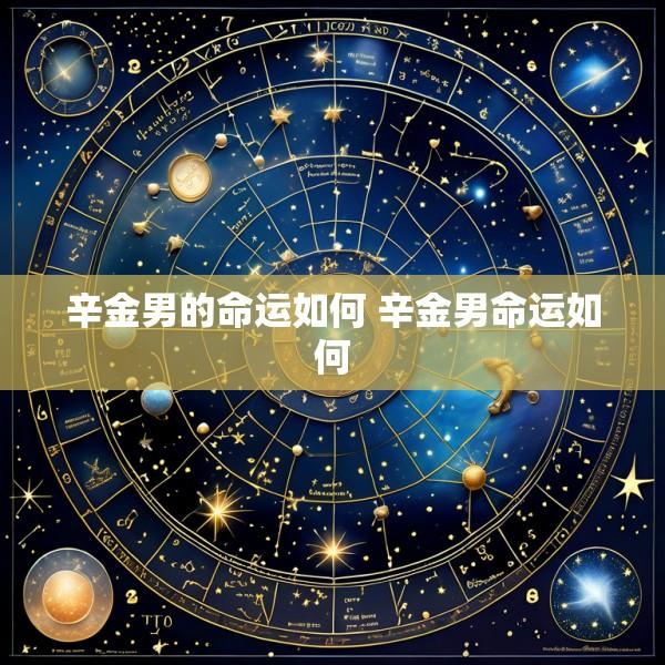 辛金男的命运如何 辛金男命运如何