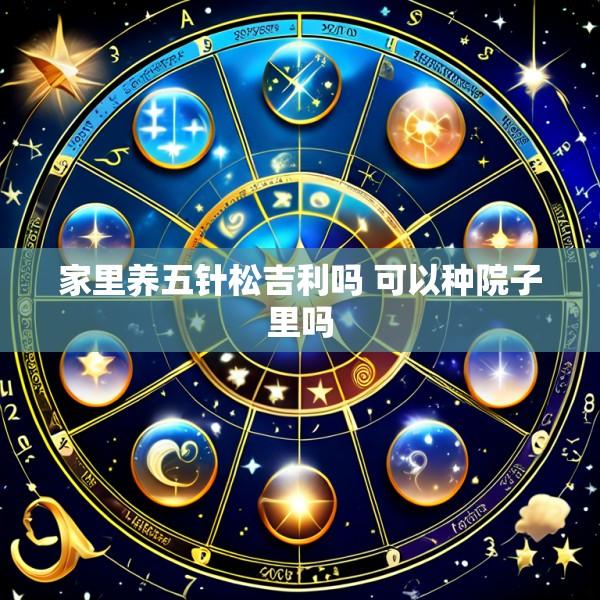 家里养五针松吉利吗 可以种院子里吗