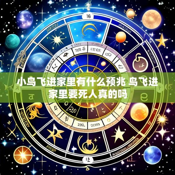 小鸟飞进家里有什么预兆 鸟飞进家里要死人真的吗