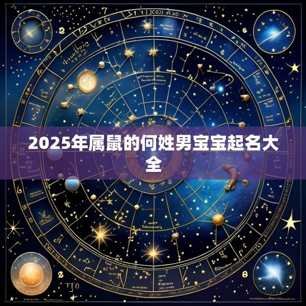 2025年属鼠的何姓男宝宝起名大全