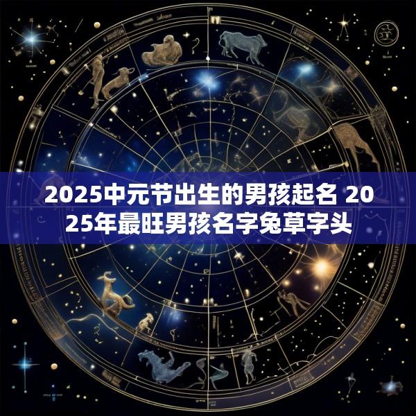 2025中元节出生的男孩起名 2025年最旺男孩名字兔草字头
