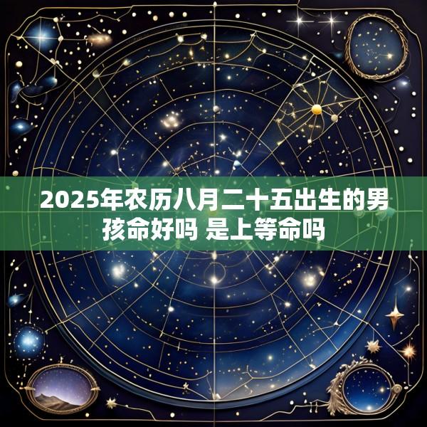 2025年农历八月二十五出生的男孩命好吗 是上等命吗