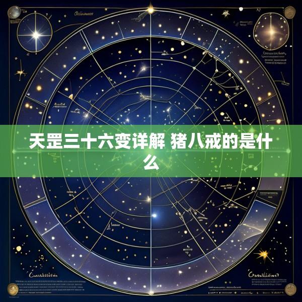 天罡三十六变详解 猪八戒的是什么