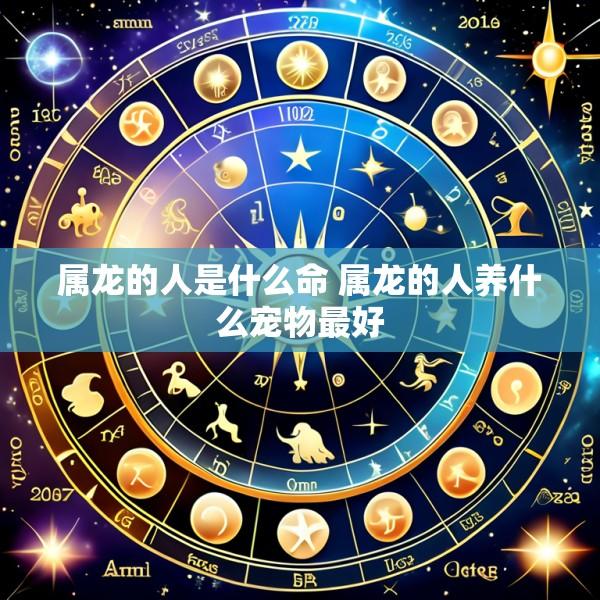 属龙的人是什么命 属龙的人养什么宠物最好