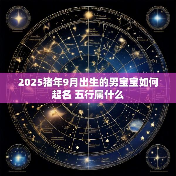 2025猪年9月出生的男宝宝如何起名 五行属什么