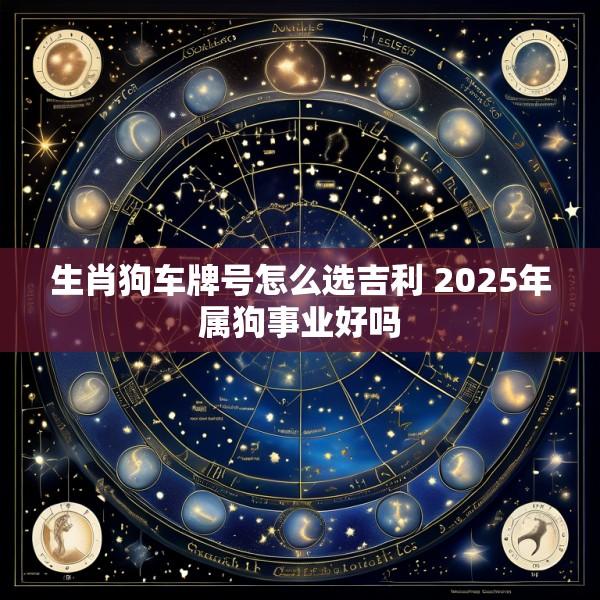 生肖狗车牌号怎么选吉利 2025年属狗事业好吗