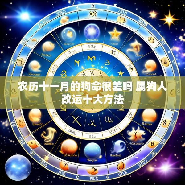 农历十一月的狗命很差吗 属狗人改运十大方法