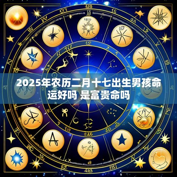2025年农历二月十七出生男孩命运好吗 是富贵命吗
