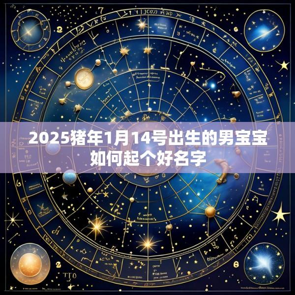 2025猪年1月14号出生的男宝宝如何起个好名字