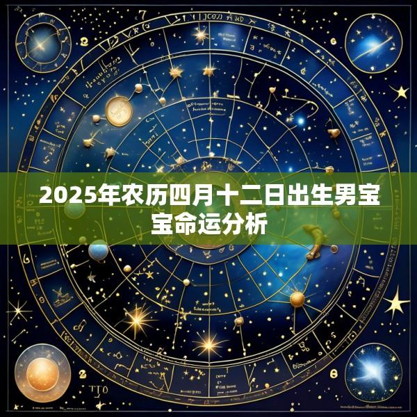 2025年农历四月十二日出生男宝宝命运分析