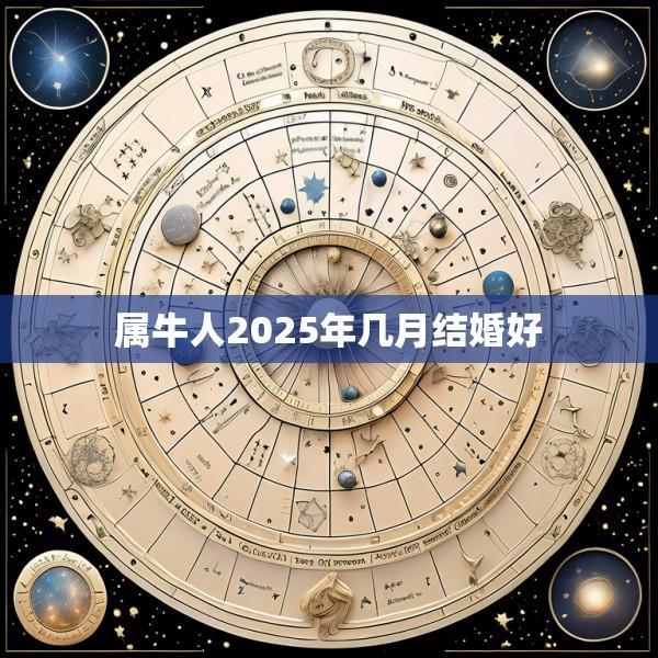 属牛人2025年几月结婚好
