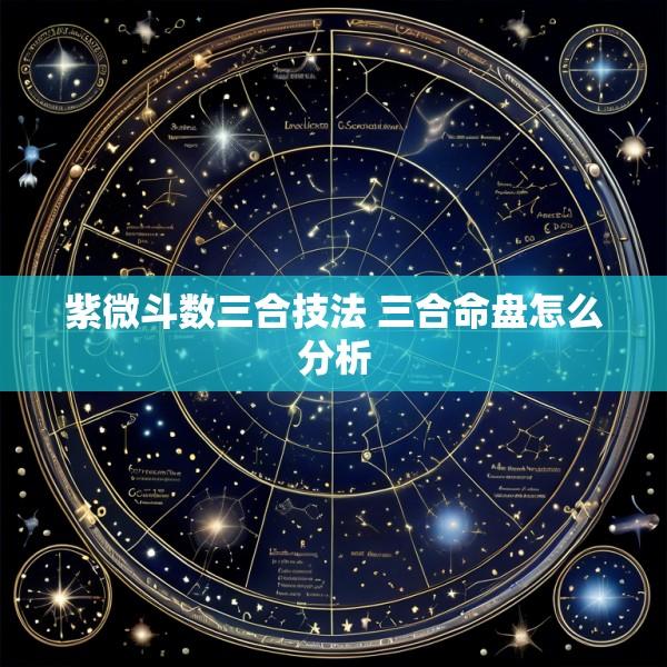紫微斗数三合技法 三合命盘怎么分析