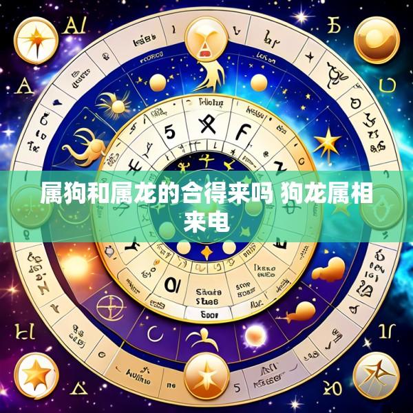 属狗和属龙的合得来吗 狗龙属相来电
