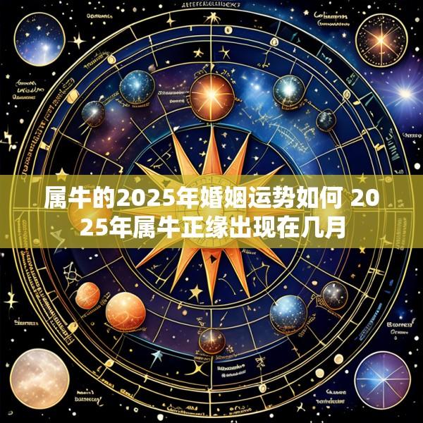 属牛的2025年婚姻运势如何 2025年属牛正缘出现在几月
