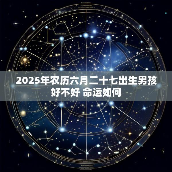 2025年农历六月二十七出生男孩好不好 命运如何