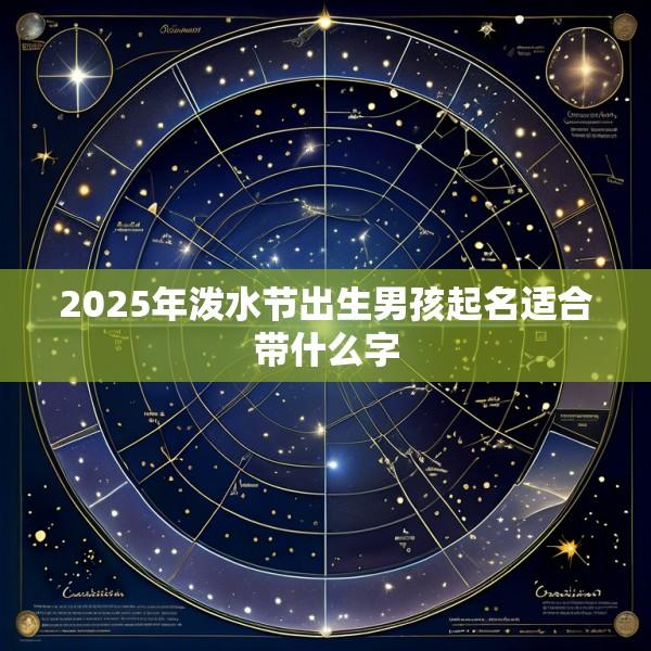 2025年泼水节出生男孩起名适合带什么字