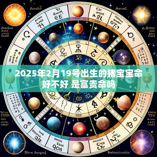 2025年2月19号出生的猪宝宝命好不好 是富贵命吗