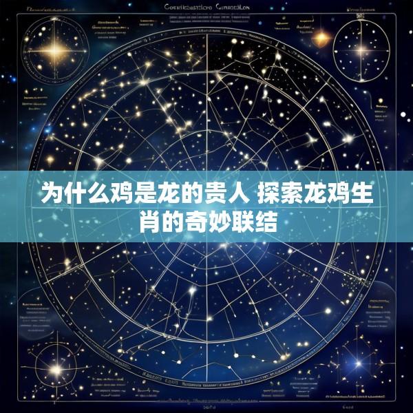为什么鸡是龙的贵人 探索龙鸡生肖的奇妙联结
