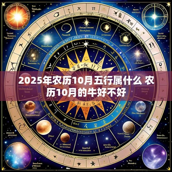 2025年农历10月五行属什么 农历10月的牛好不好
