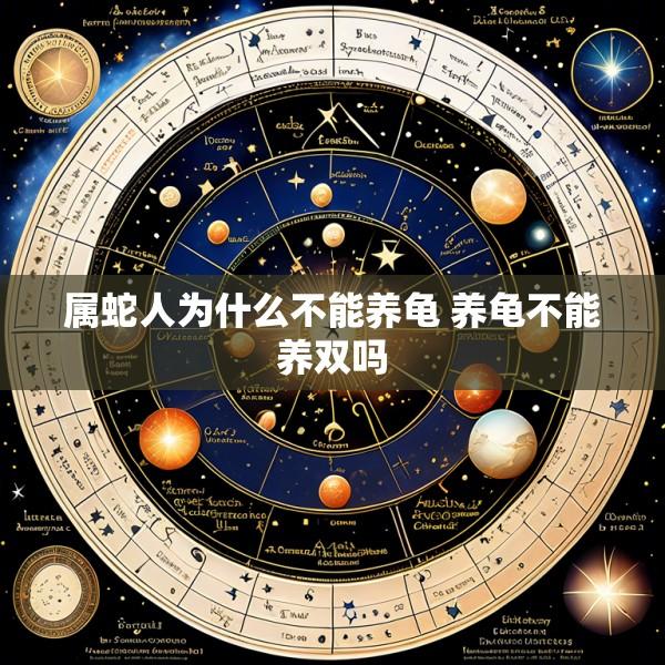 属蛇人为什么不能养龟 养龟不能养双吗