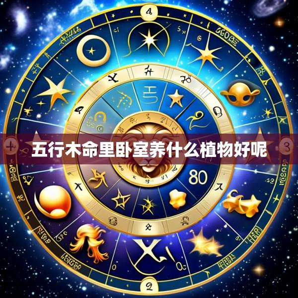 五行木命里卧室养什么植物好呢