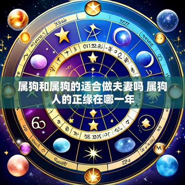 属狗和属狗的适合做夫妻吗 属狗人的正缘在哪一年