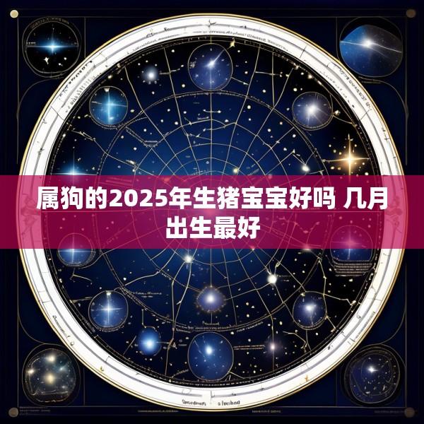 属狗的2025年生猪宝宝好吗 几月出生最好