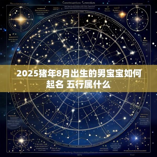 2025猪年8月出生的男宝宝如何起名 五行属什么