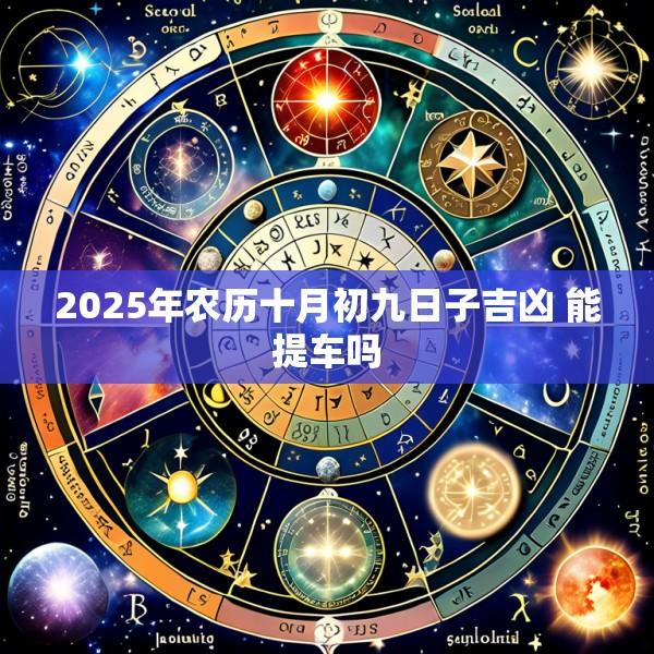 2025年农历十月初九日子吉凶 能提车吗