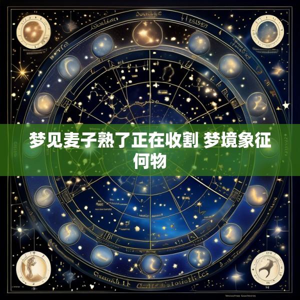 梦见麦子熟了正在收割 梦境象征何物