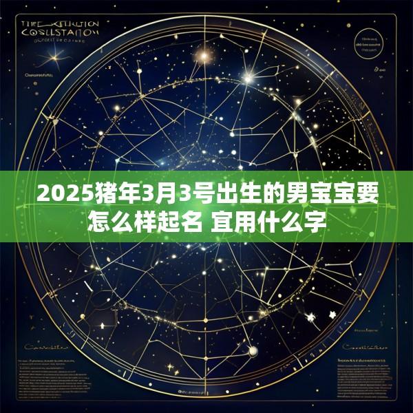 2025猪年3月3号出生的男宝宝要怎么样起名 宜用什么字