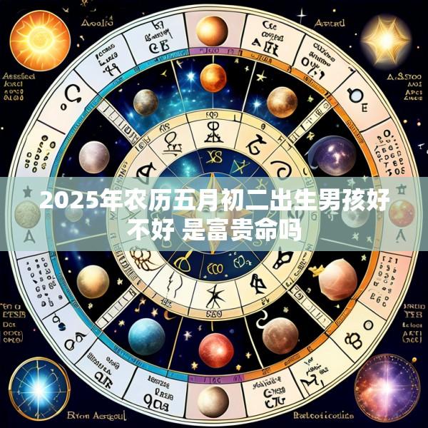 2025年农历五月初二出生男孩好不好 是富贵命吗