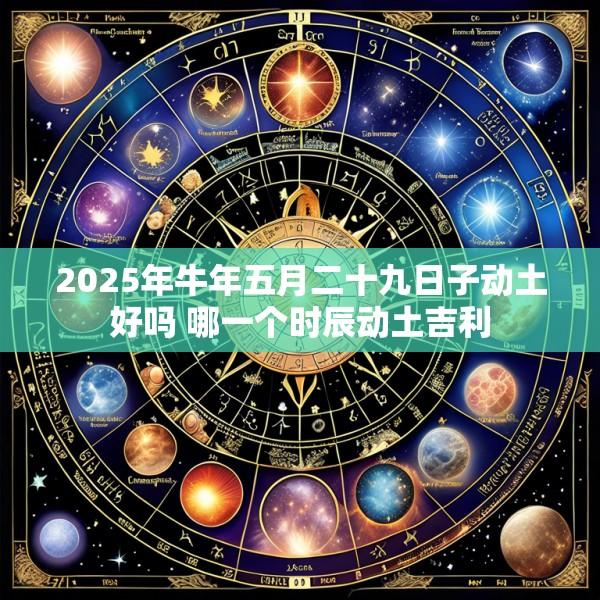2025年牛年五月二十九日子动土好吗 哪一个时辰动土吉利