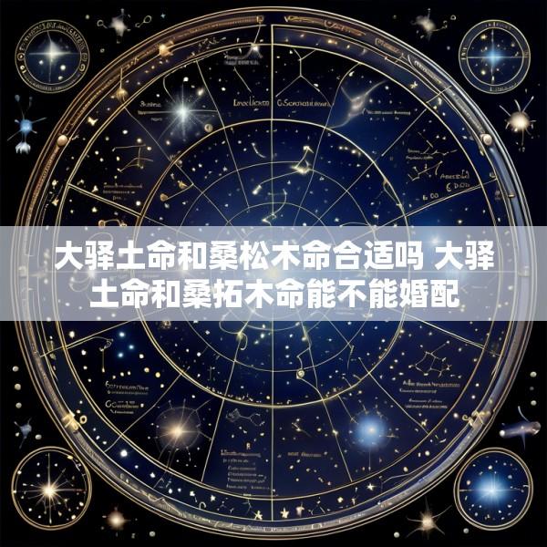 大驿土命和桑松木命合适吗 大驿土命和桑拓木命能不能婚配