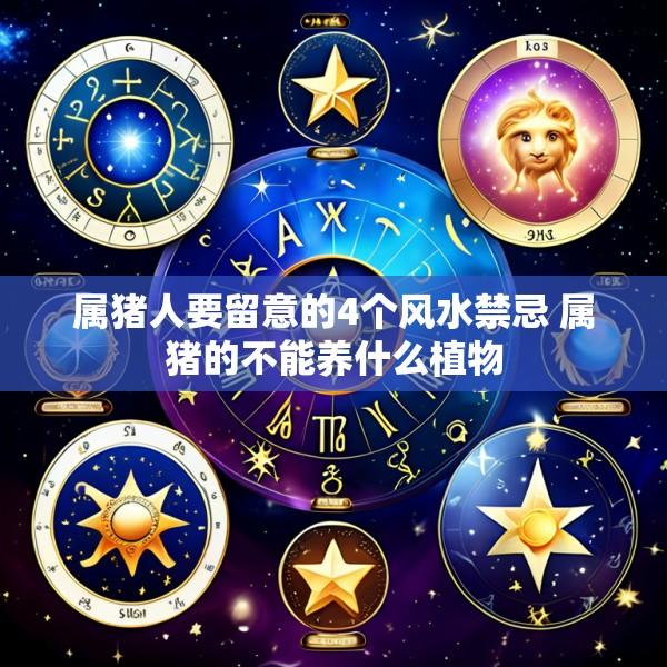 属猪人要留意的4个风水禁忌 属猪的不能养什么植物
