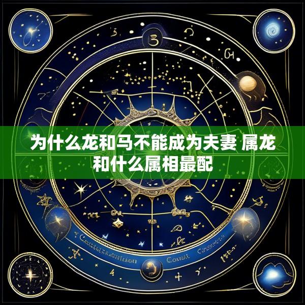 为什么龙和马不能成为夫妻 属龙和什么属相最配