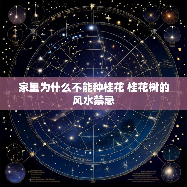 家里为什么不能种桂花 桂花树的风水禁忌
