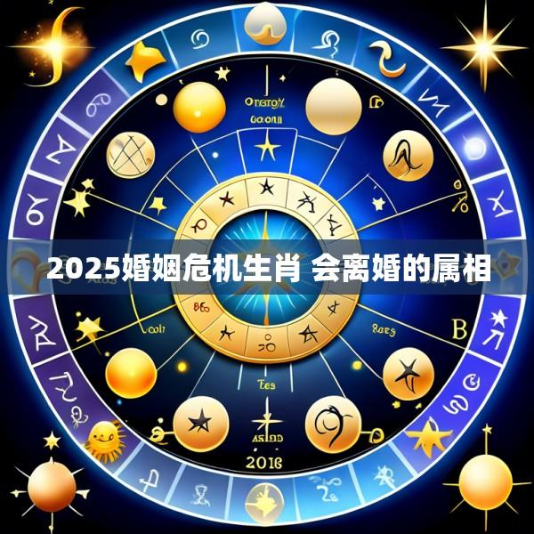 2025婚姻危机生肖 会离婚的属相