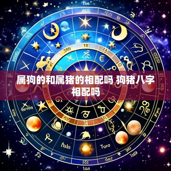 属狗的和属猪的相配吗 狗猪八字相配吗