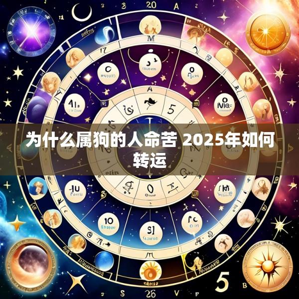 为什么属狗的人命苦 2025年如何转运